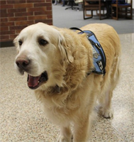 Prince is retiring after 4 1/2 years at Portage High School in Portage, Indiana.