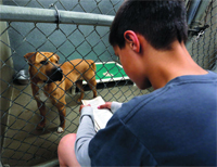 A student reads to one of the dogs at the Bitter Root Animal Shelter. Photo by Perry Backus