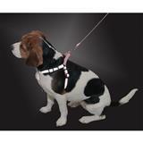 LaZer Brite® Reflective Adjustable Collars, Leashes and Harnesses 20011B