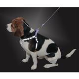LaZer Brite® Periwinkle, Skull & Bones and Red Paws Patterened Reflective Products 200132b
