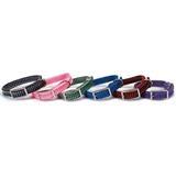Coastal Sunburst Collars &amp; Leads 20833b