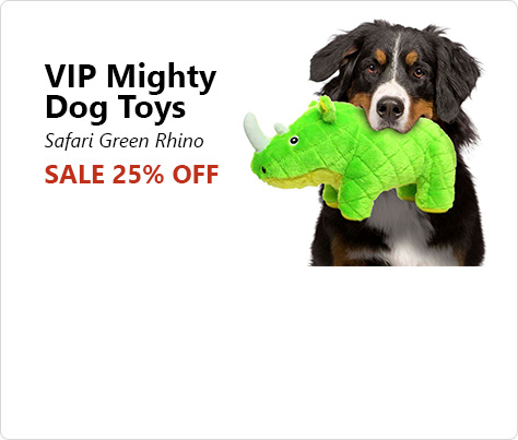 puppy for sale flyer