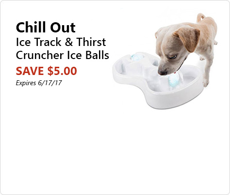 Grain Free Dog Food And Thirst Grain Free Dog Food And Thirst