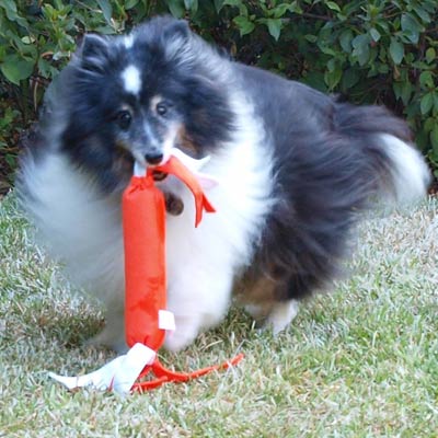MS Tuffy Flappies 65746b