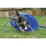 The Company of Animals Clix® Agility Training 58091b