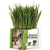 Pet Greens Garden Pet Grass Self-Grow Kit