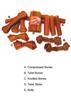 Pigskin Treats 2066B
