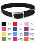 Coastal® Traditional Nylon Dog Collar 1 inch Single Ply 3356e