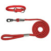Mountain Choke Collars and Leashes 3149b