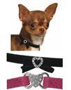 Lil Pals Suede Jeweled Heart Collars 3520E