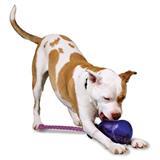 Premier® Busy Buddy® Tug-A-Jug™ Treat Dispensing Toy 35418b