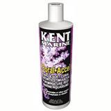 Coral Accel 8 oz. 37381