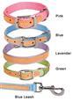 Weaver Leather® Pastel Traditions Collars and Leashes 1 inch 39100B