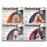 Frontline Plus for Dogs 40543e