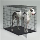 MidWest® 1154U Drop Pin Crate with Pan 54 in.  x 35 in.  x 45 in. KIT446