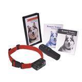 PetSafe® Deluxe Remote Trainer for Big Dogs 4975