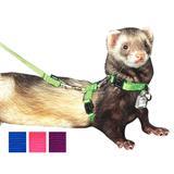 Premier® 5-in-One Ferret Collar-Harness-Leash 5102e