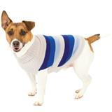 Fashion Pet™ Blue Best In Stripe Sweater 641052b