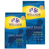 Wellness® Complete Health® Super5Mix® Large Breed - Adult Health 69235b