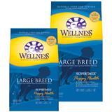 Wellness® Complete Health® Super5Mix® Large Breed - Puppy Food 69236b