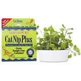 Gimborn® Cat Nip Plus® Premium Fresh Catnip 7245