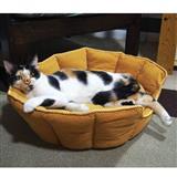 Carolina Pet Company Faux Suede Scalloped Caramel Kuddle Kup® 78833