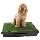 The Pet Loo 228b