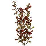 Tetra ® WaterWonders ™ Red Ludwigia Aquarium Plant 6 in. Z04679819113