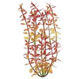 Tetra ® WaterWonders ™ Rotala Aquarium Plant 6 in. Z04679819114