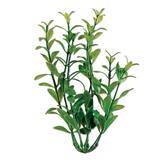 Tetra ® WaterWonders ™ Hygrophila Aquarium Plant 9 in. Z04679819124