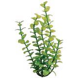 Tetra ® WaterWonders ™ Green Bacopa Aquarium Plants Z04679819121b