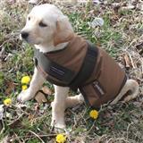 ABO Gear Aussie Naturals® Breathable Waterproof Dog Coat 20172b
