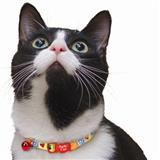 Coastal® Rescue Message Adjustable Cat Collar 729212