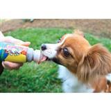 PetSafe® Lickety Stiks™ 13186b