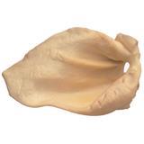 Merrick®  Beef Ear Chew Natural Dog Treat 2547