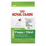 Royal Canin® X-SMALL Puppy Food 3 lbs. I000331