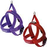 EzyDog Quick-Fit Harness I000462b