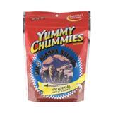 Yummy Chummies® Original Wild Alaska Salmon Dog Treats 1.25 lbs. I001978