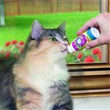 PetSafe® Feline Lickety Stik®, .84 fl. oz. I002227b
