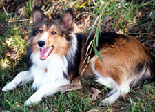 Abby