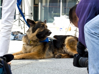 Bear during the awards ceremony.