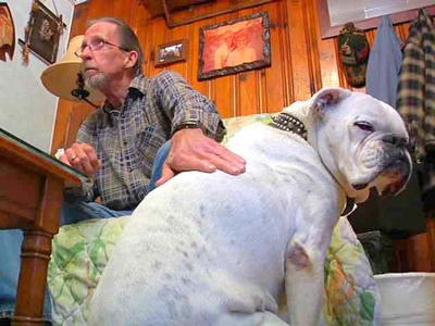 Bill &amp; Chance (Life With Dogs)