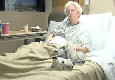 Danny and his owner after she was rescued from her fall at home.