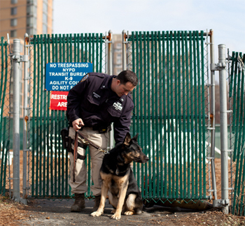 Canine Officer Danz and Officer Wayne Rothschild.(Photo by Adam McCauley/BBH)