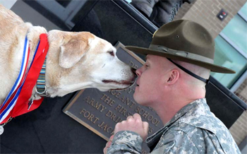 Army Staff Sergeant Charles Shuck and MWD Gabe share a special moment together.