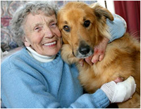 Goldie along with his owner Pauline Muggleton.