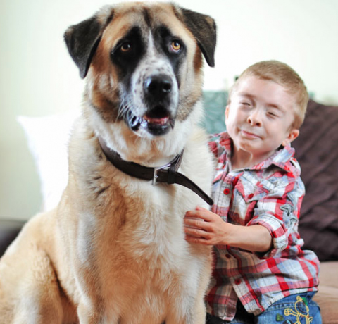 Owen and his dog Haatchi.