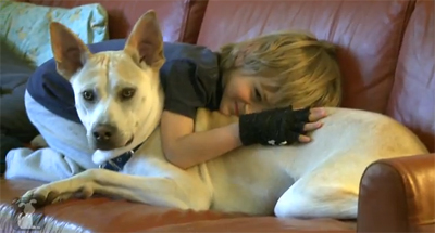 Leo and his dog Henry are just a normal boy and dog at home, but when they go out, Henry is all business as a service dog.