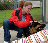 Shannon Lorio, 36, pets Hero the German Shepherd she credits with saving her life.