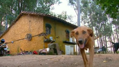 Lilica travels two miles each day to bring food to her family.